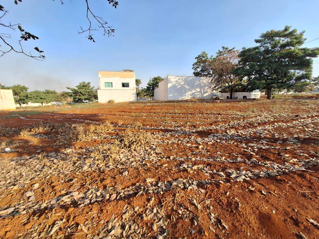 Terreno à venda no JARDIM BERTOLUCCI: 9