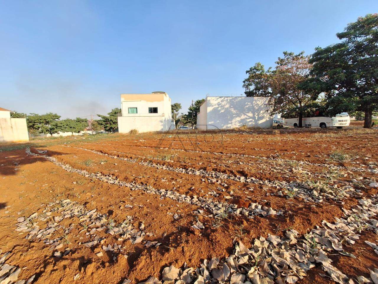 Terreno à venda no JARDIM BERTOLUCCI: 7