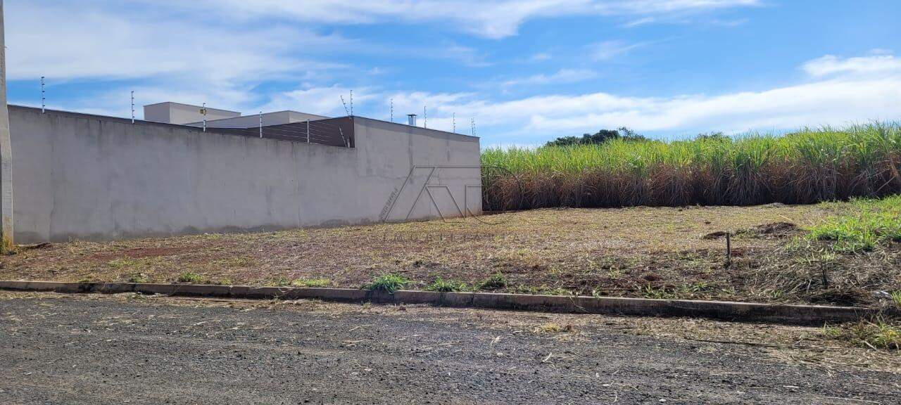 Terreno à venda no CAMPESTRE: 7