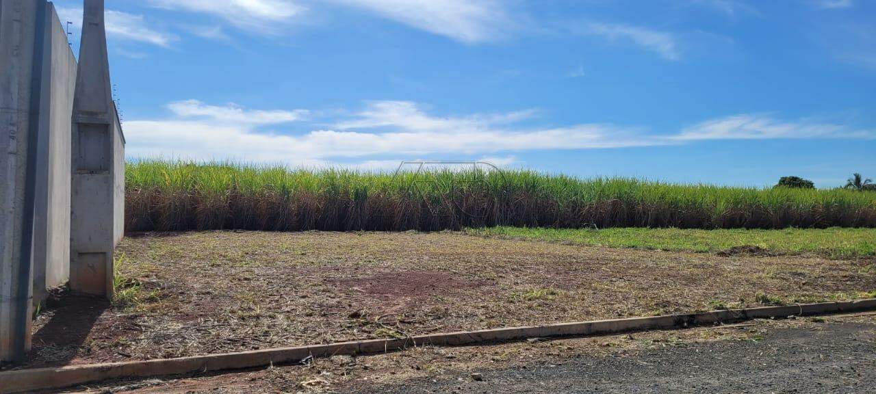 Terreno à venda no CAMPESTRE: 1