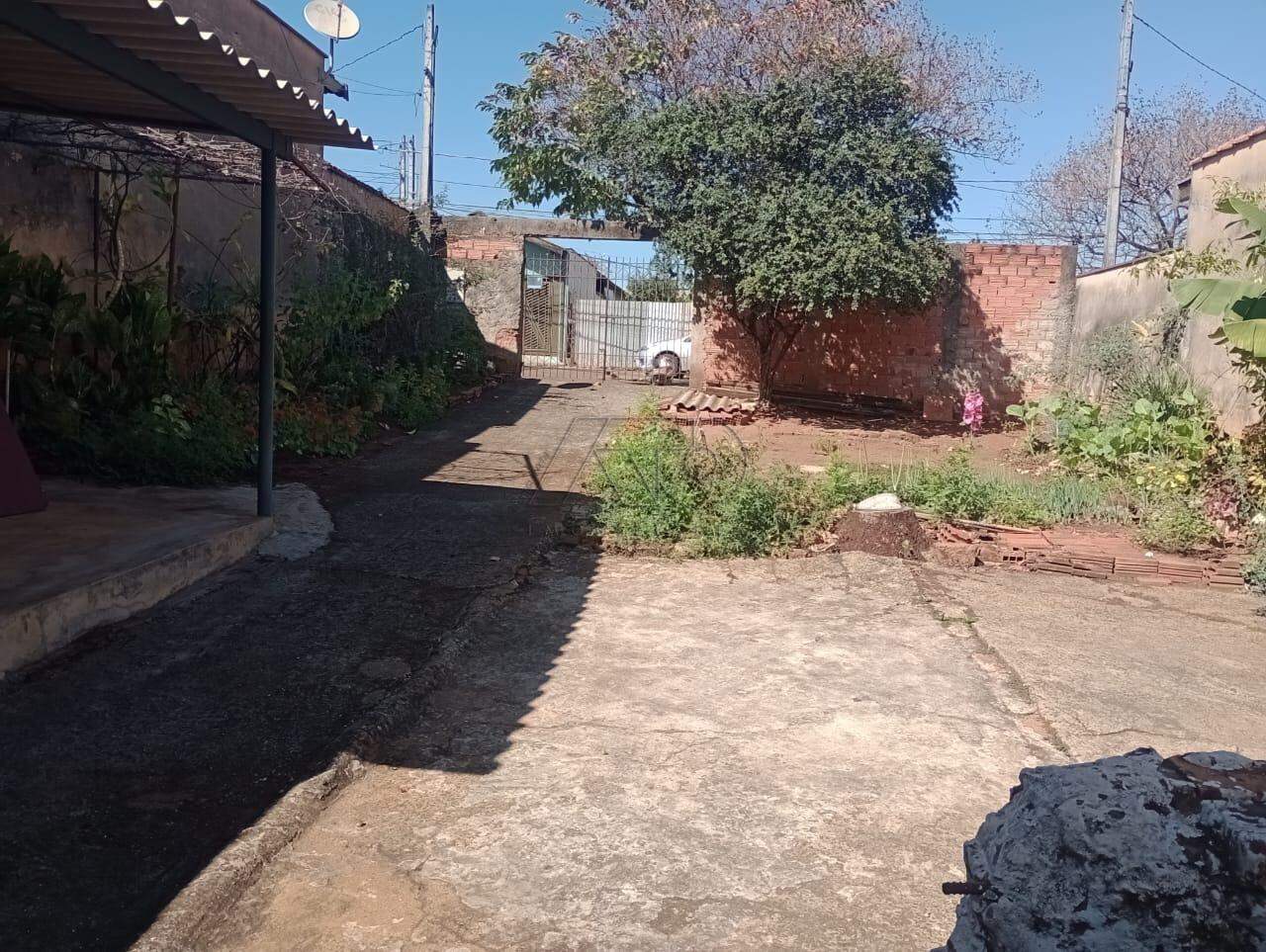 ALGODOAL, PIRACICABA