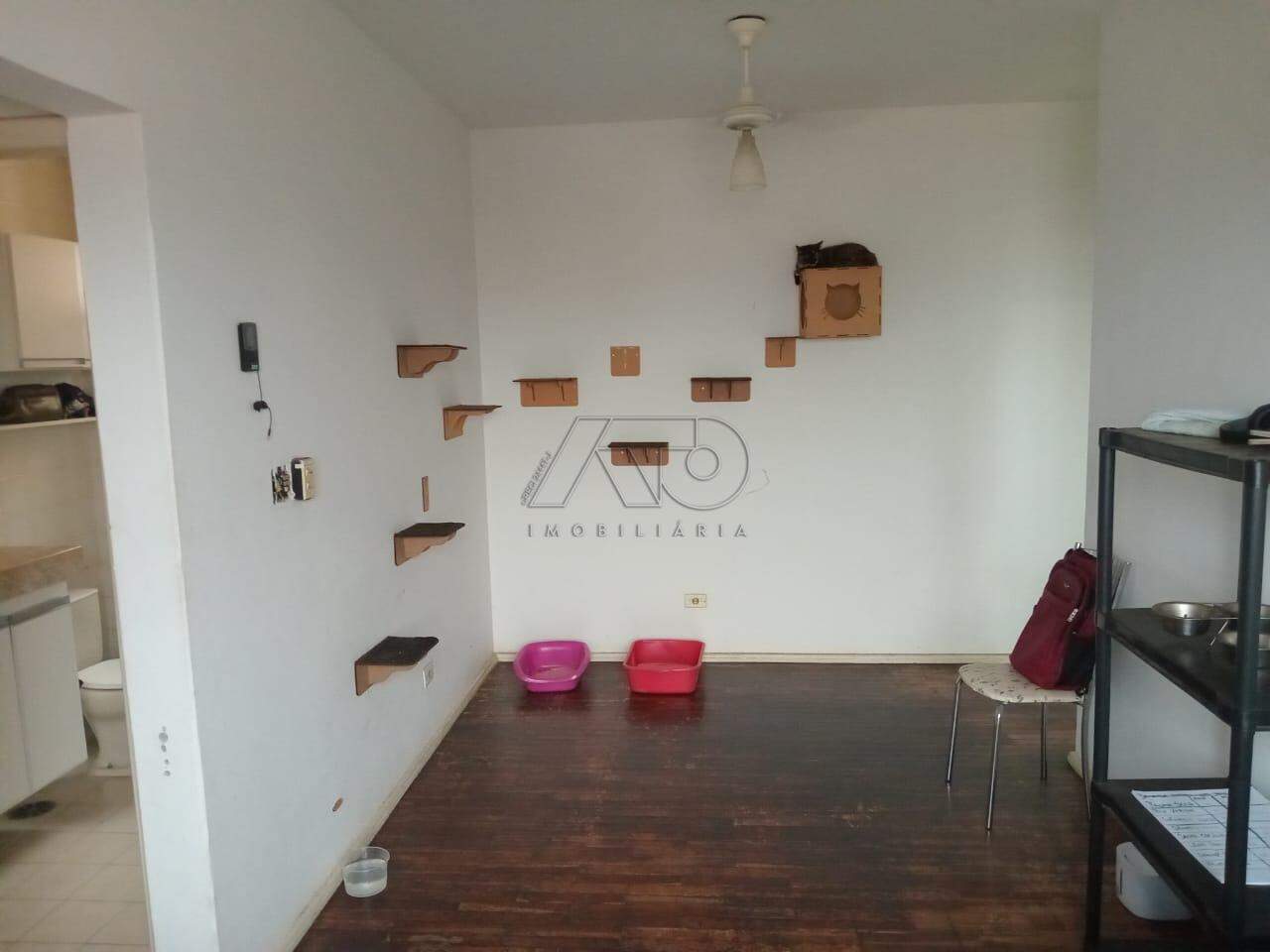 Apartamento à venda no VILA MONTEIRO: 3