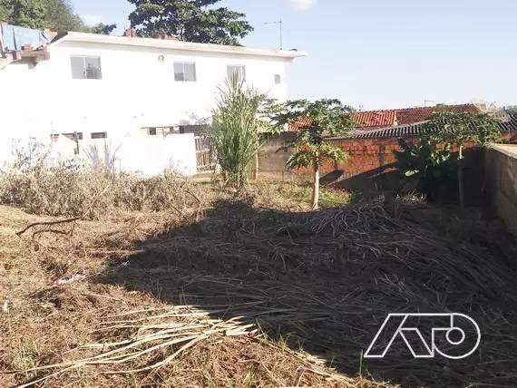 Terreno para aluguel no SANTA ROSA: 3