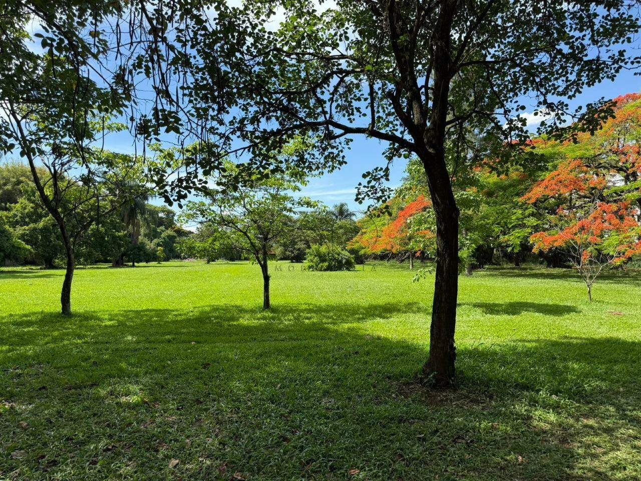 Casa à venda no DOIS CORREGOS: 4