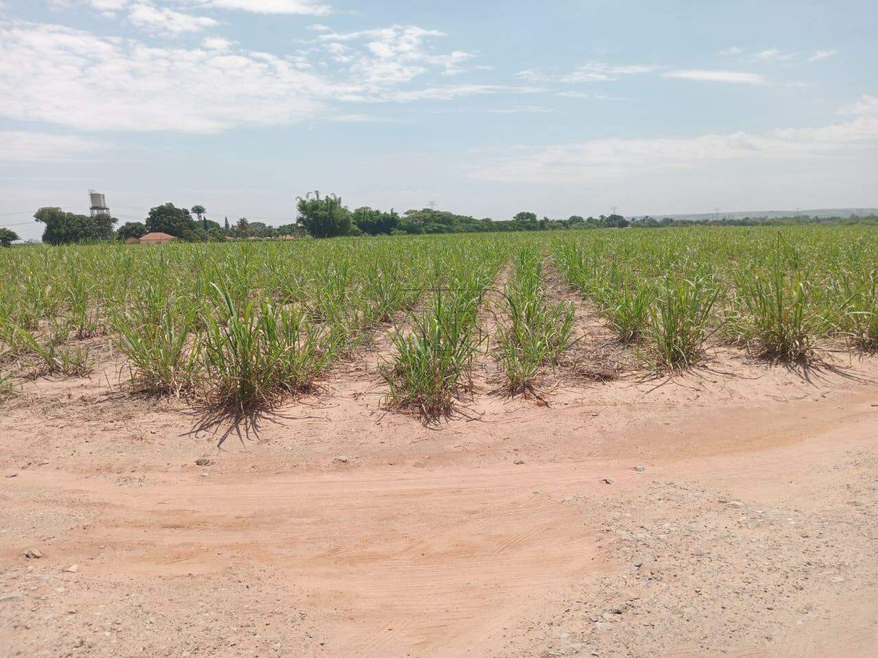 Sítio à venda no CAMPESTRE: 14