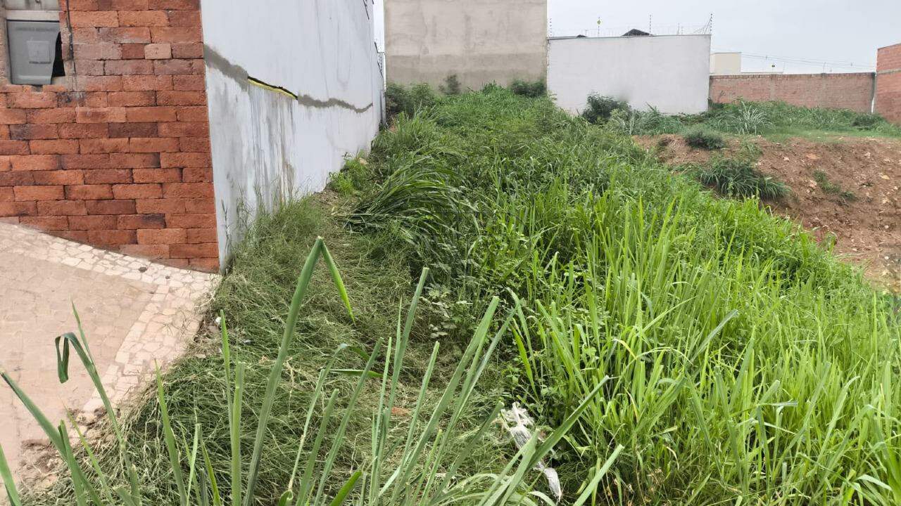 Terreno à venda no CAMPESTRE: 2