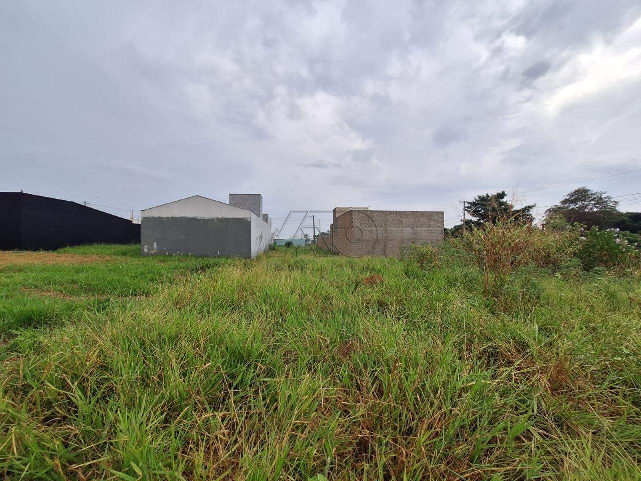 Terreno à venda no CAMPESTRE: 