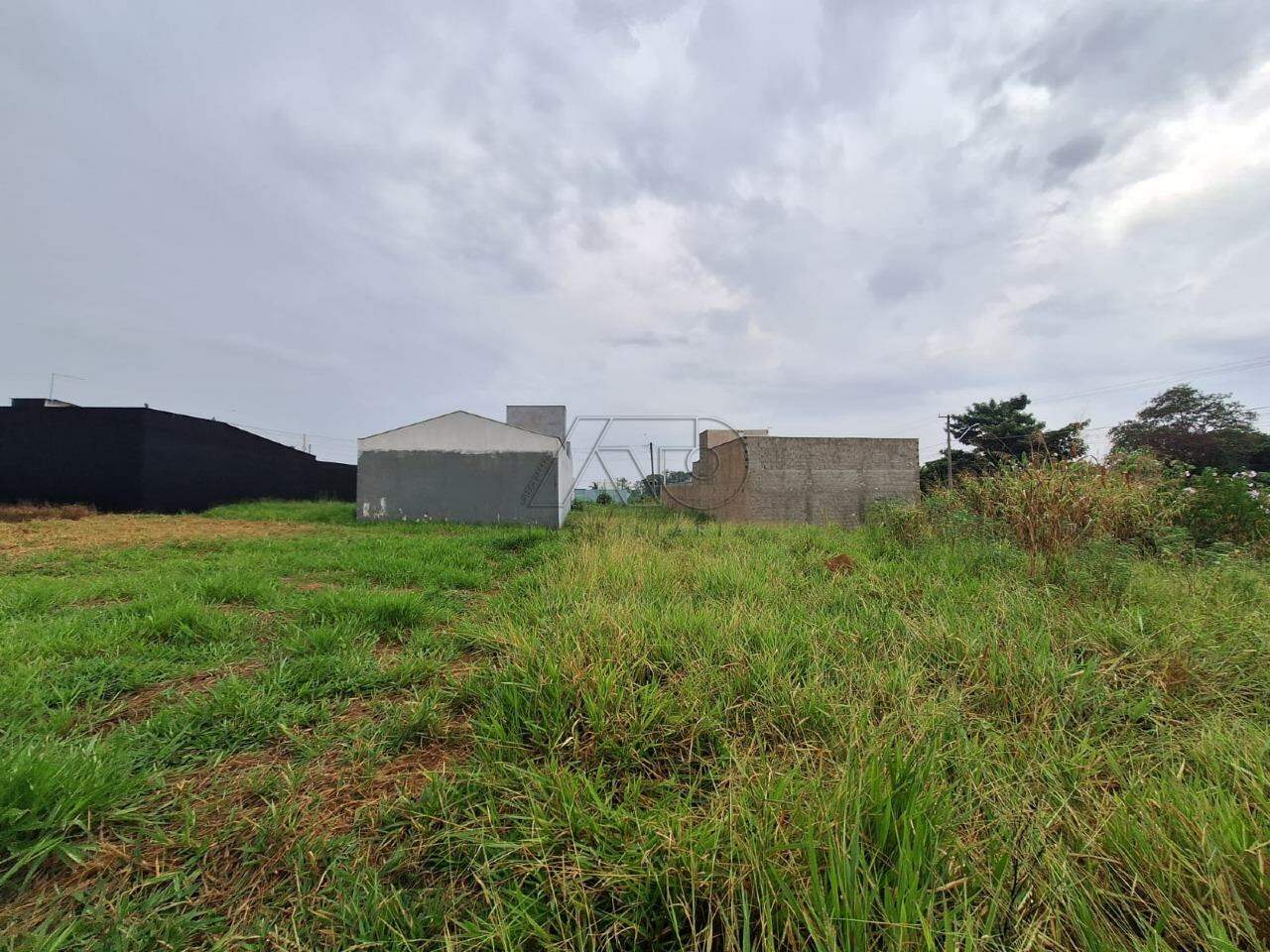 Terreno à venda no CAMPESTRE: 