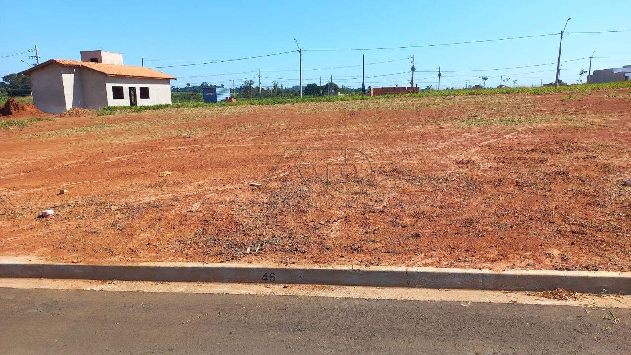 MATO ALTO, SALTINHO