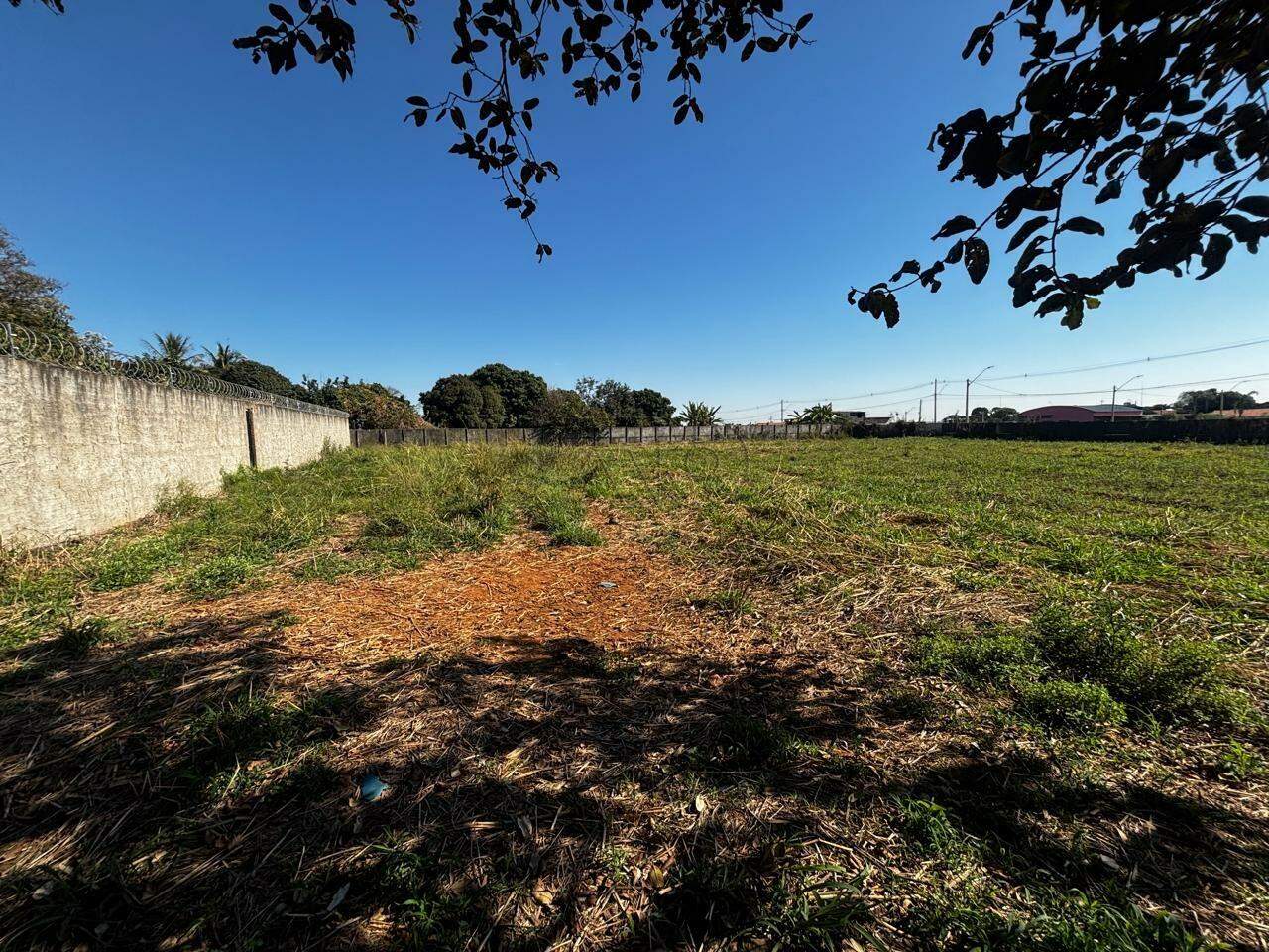 Terreno para aluguel no Nossa Senhora Aparecida I: 