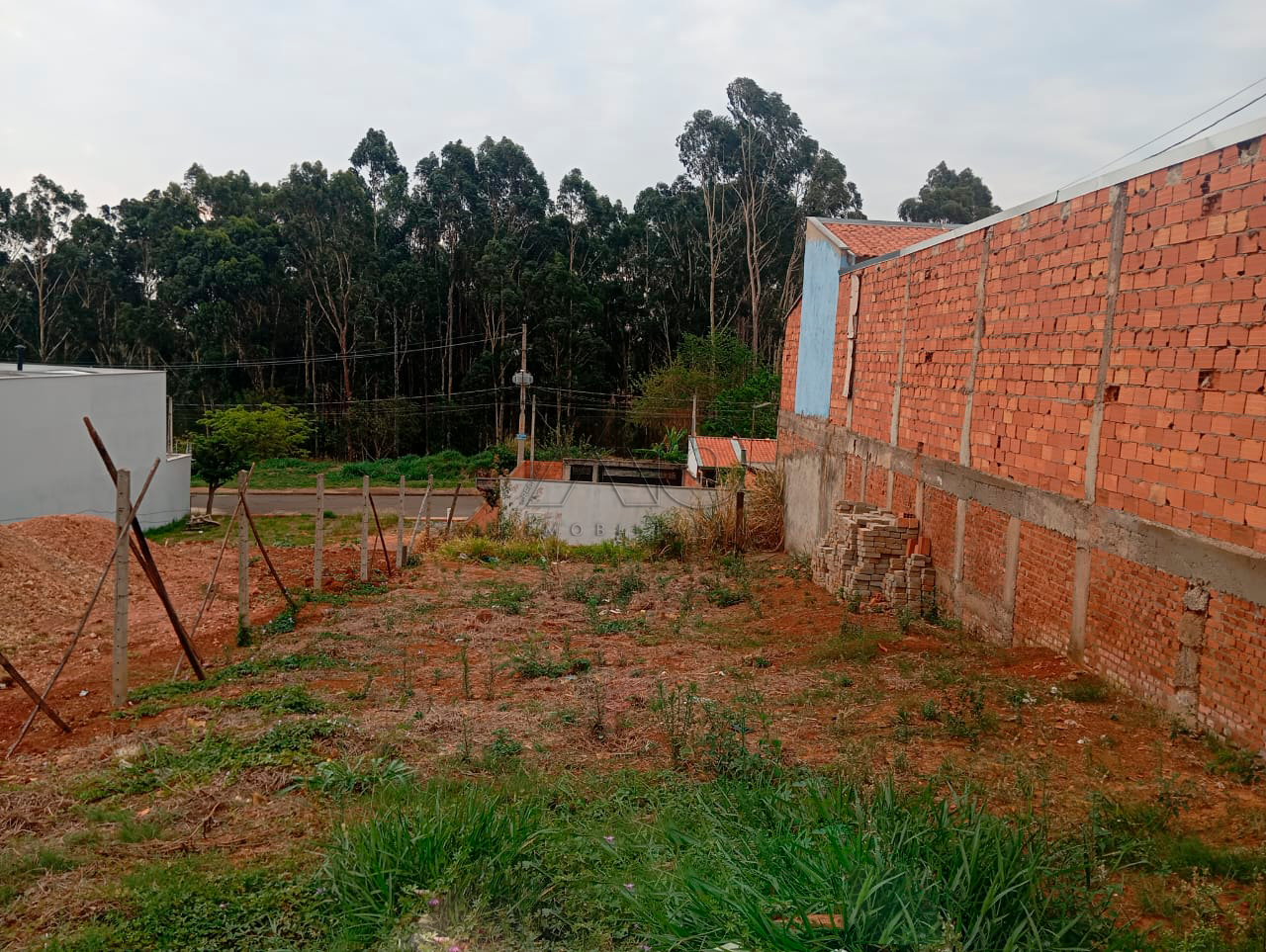 TAQUARAL, PIRACICABA
