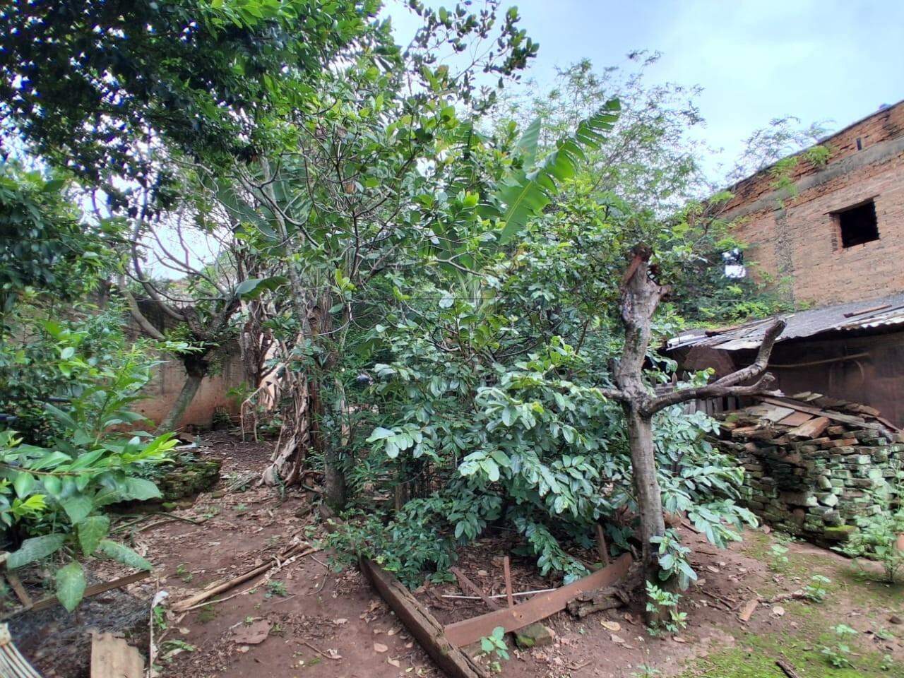 Terreno à venda no VILA INDEPENDENCIA: 