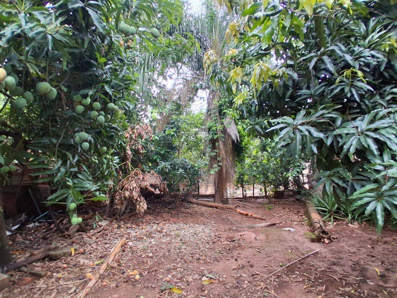Terreno à venda no VILA INDEPENDENCIA: 