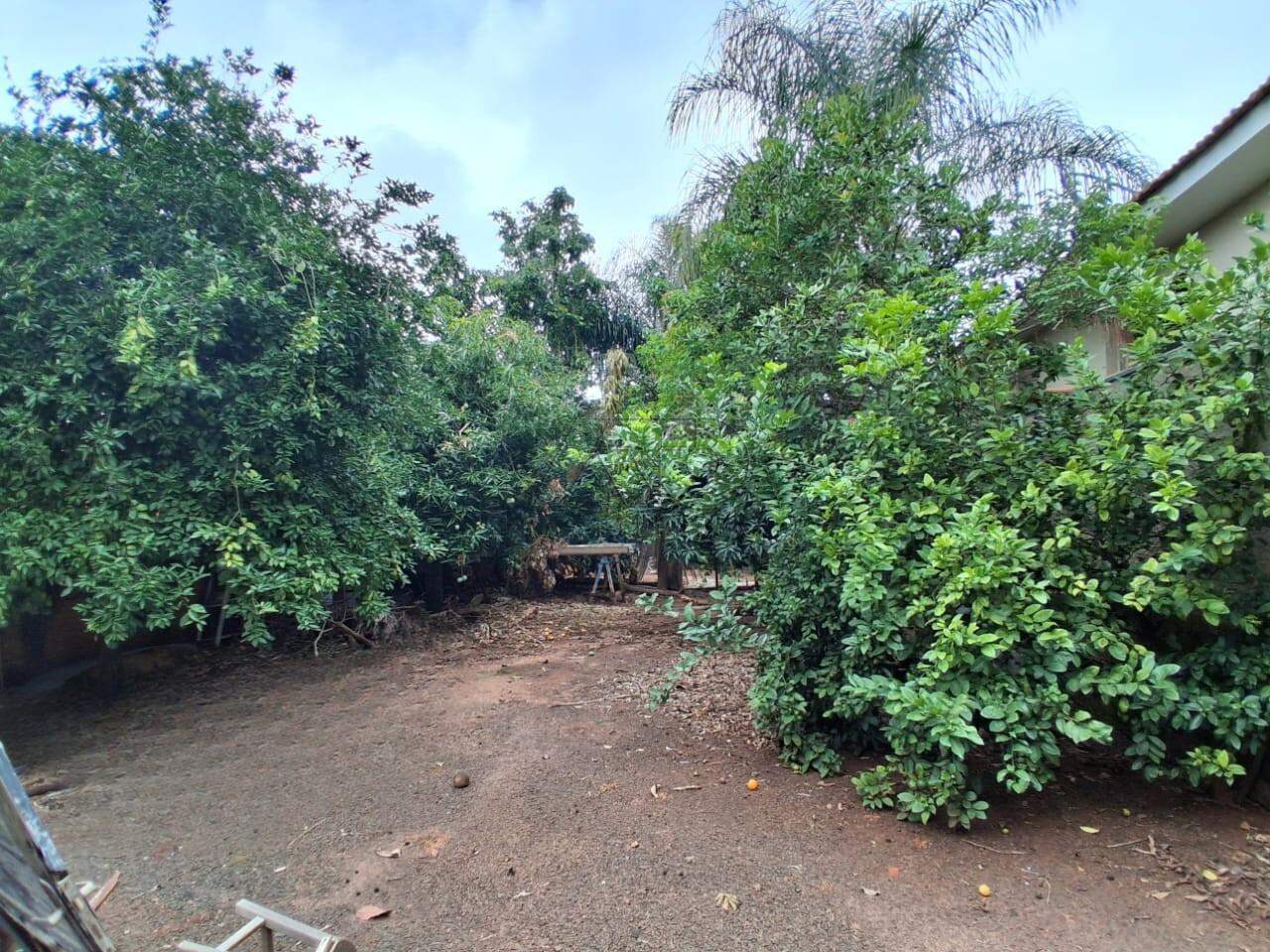 Terreno à venda no VILA INDEPENDENCIA: 