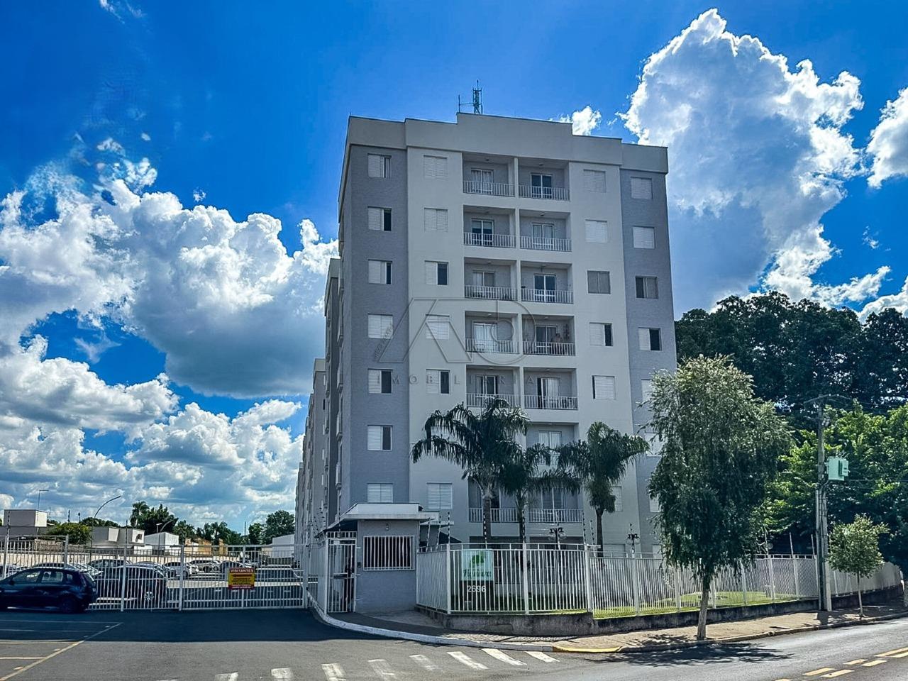 PIRACICAMIRIM, PIRACICABA PIRACICAMIRIM, PIRACICABA