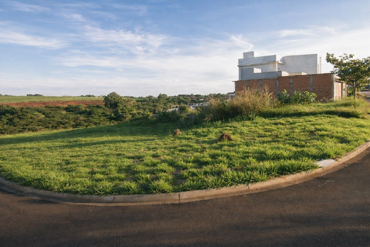 Terras di Treviso, PIRACICABA