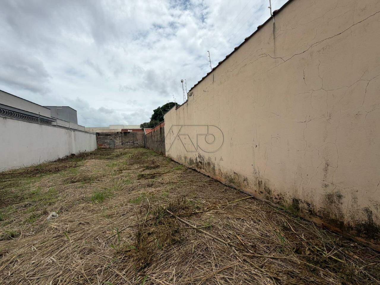 Terreno para aluguel no PAULISTA: 