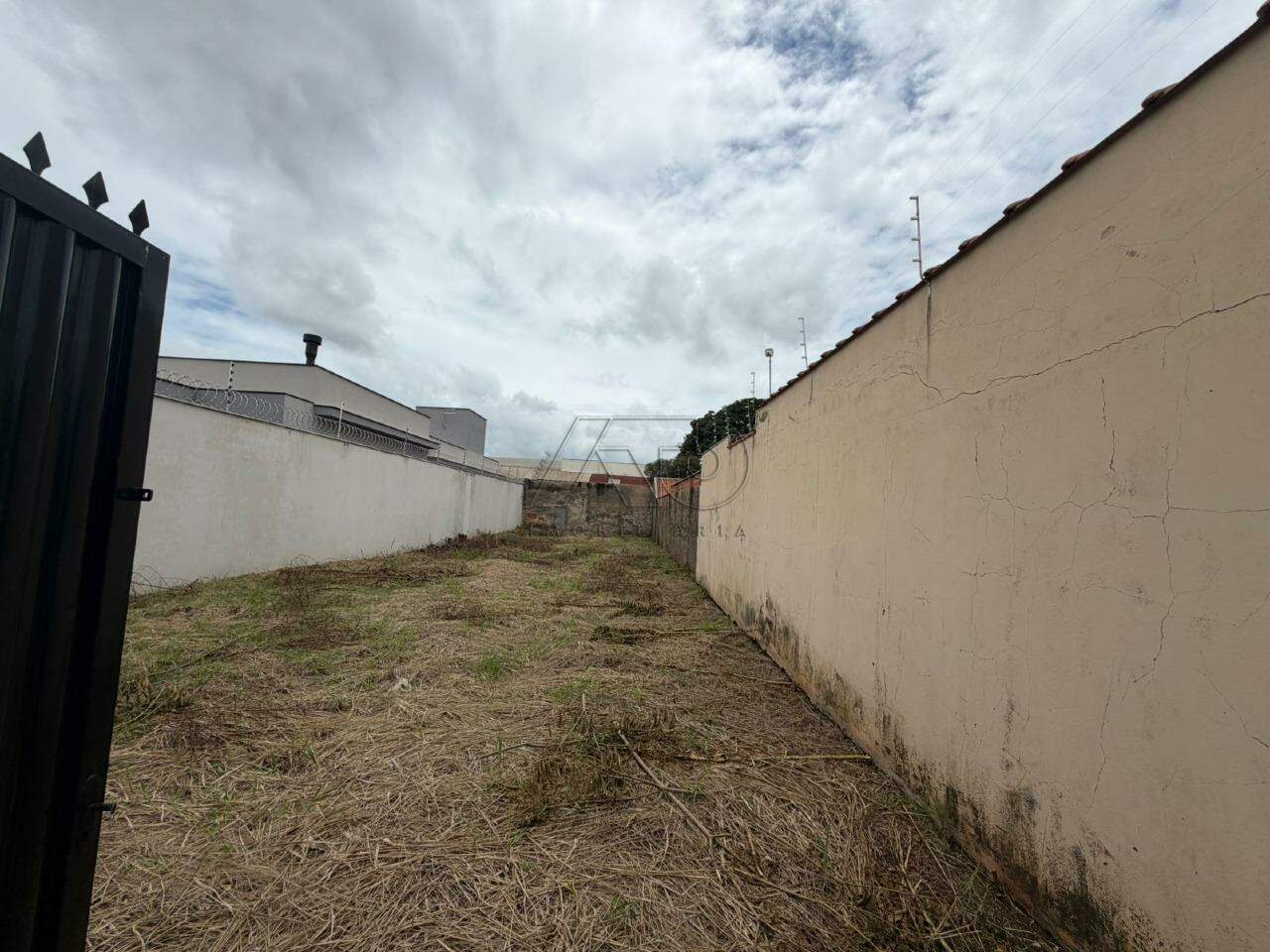 PAULISTA, PIRACICABA