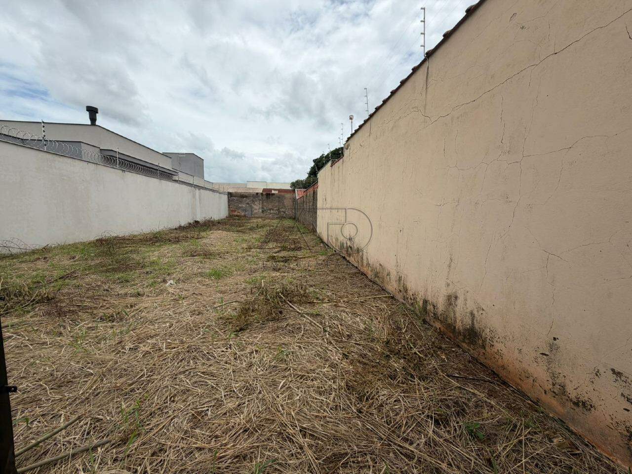 Terreno para aluguel no PAULISTA: 