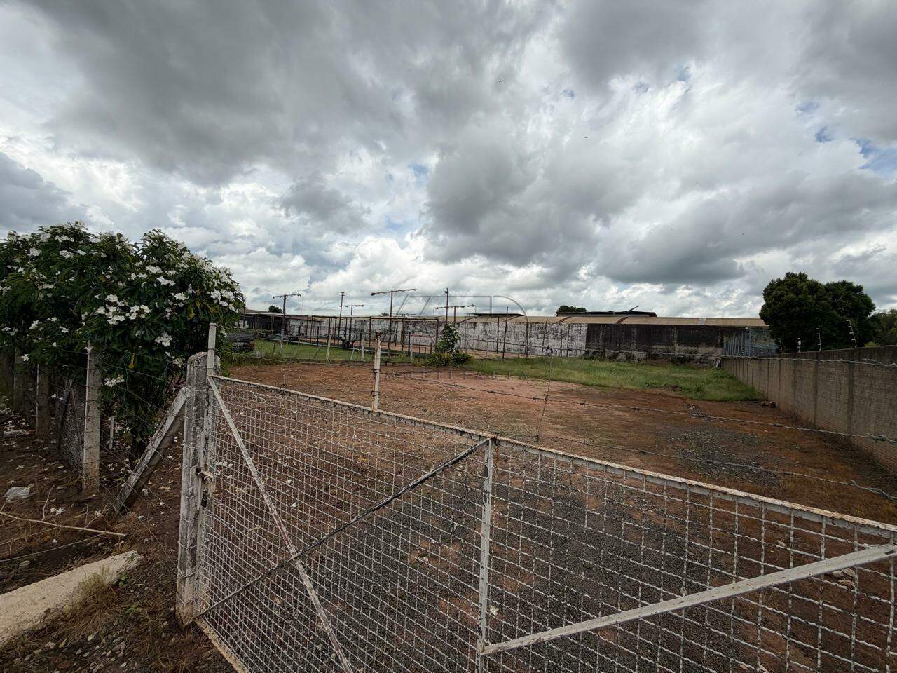 Terreno para aluguel no DOIS CORREGOS: 