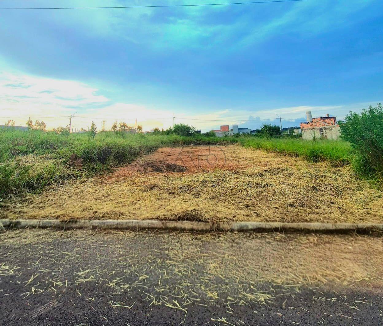 CONQUISTA, PIRACICABA CONQUISTA, PIRACICABA