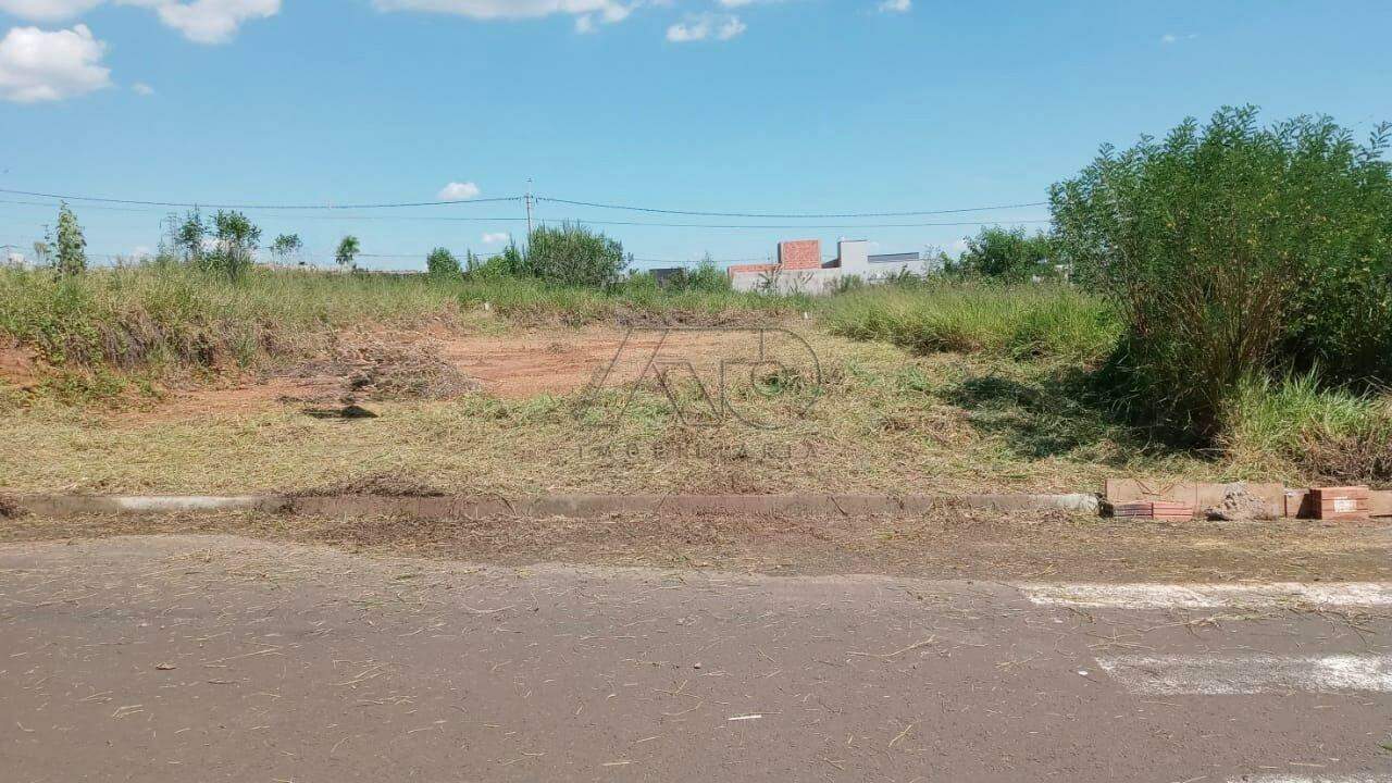 Terreno à venda no CONQUISTA: 