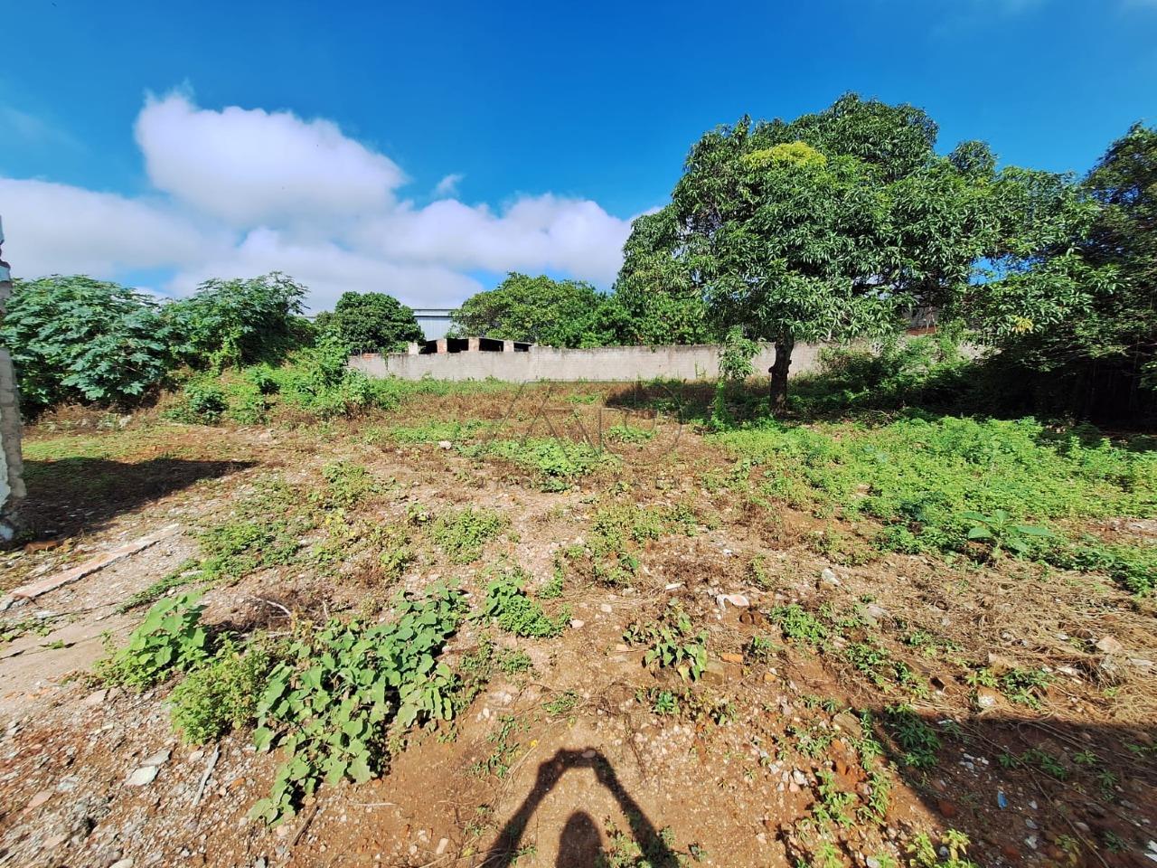 JARDIM CALIFORNIA, PIRACICABA JARDIM CALIFORNIA, PIRACICABA