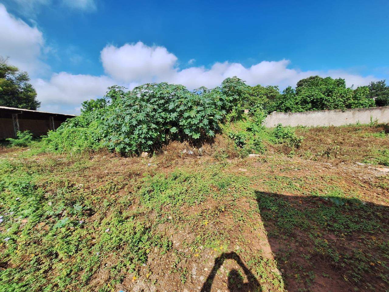 Terreno para aluguel no JARDIM CALIFORNIA: 