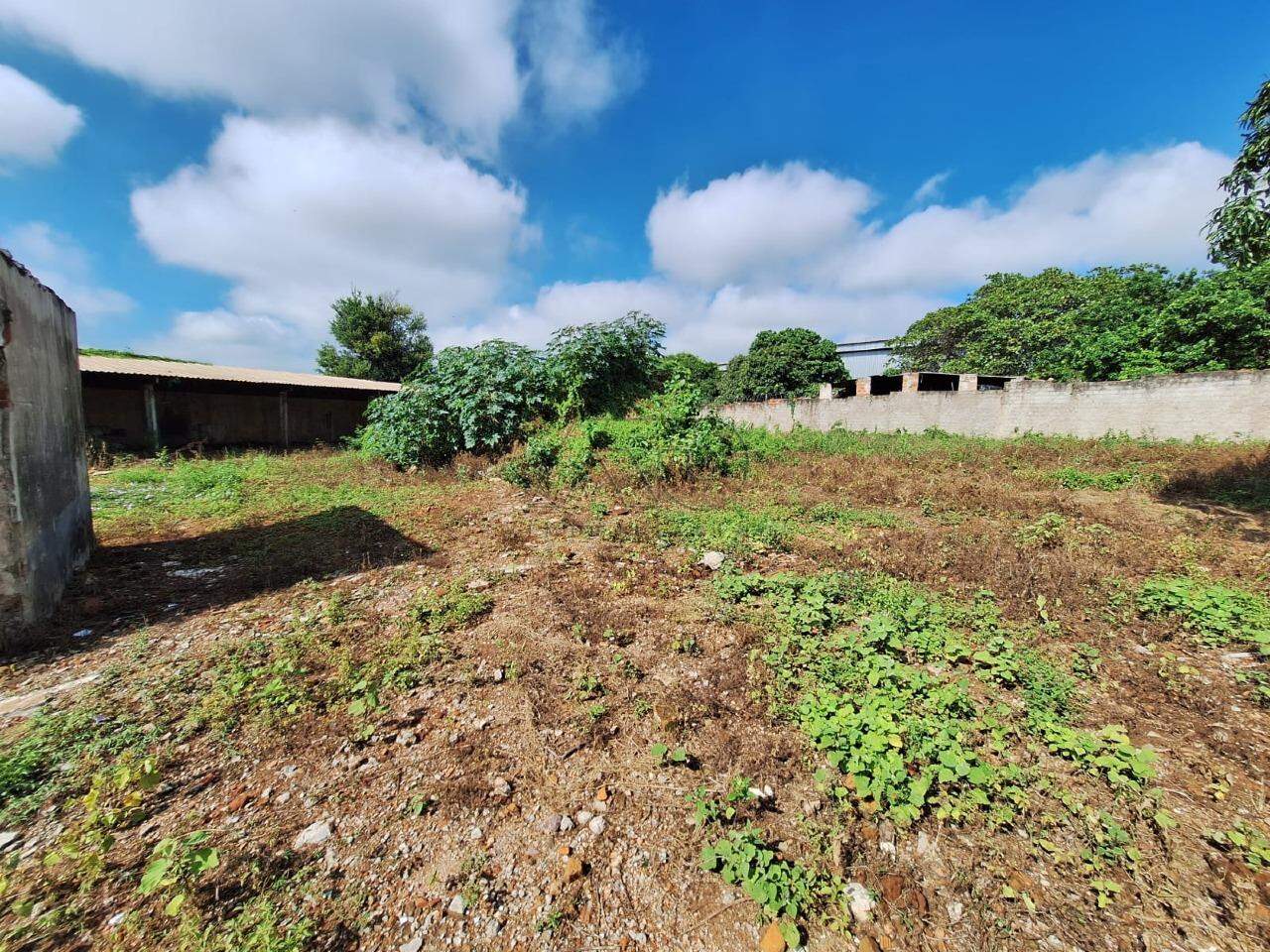 Terreno para aluguel no JARDIM CALIFORNIA: 