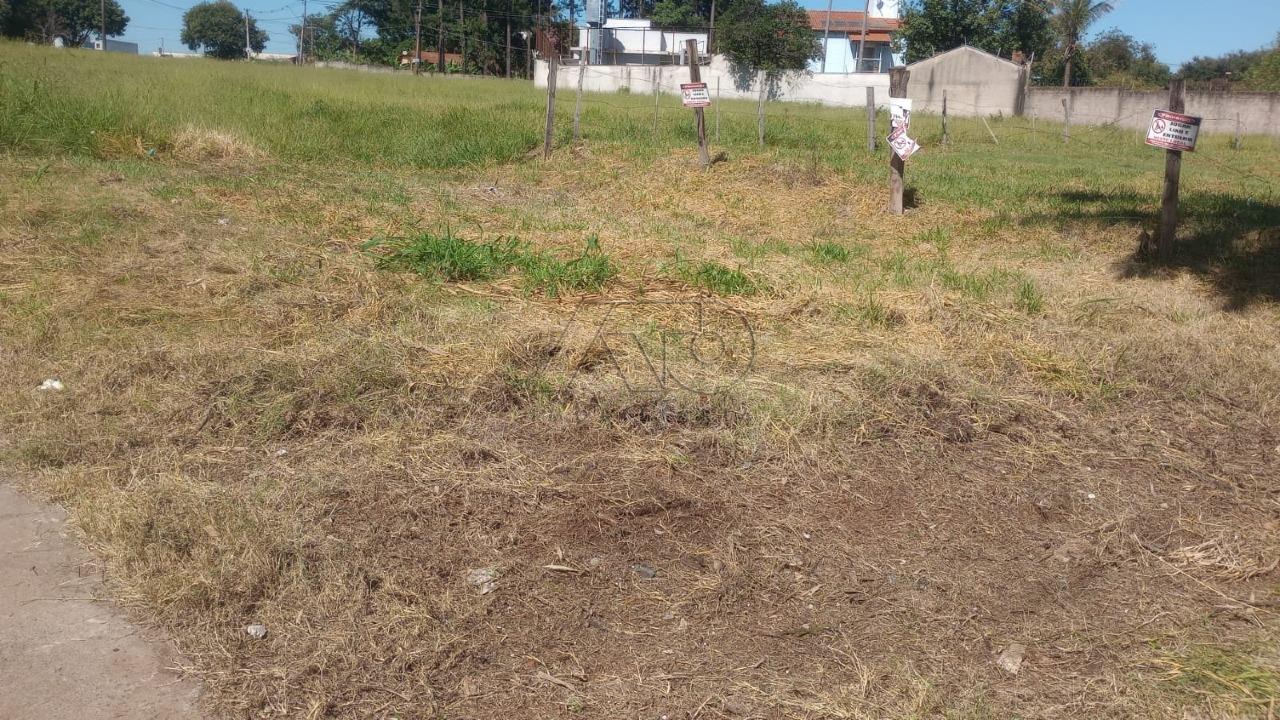 SANTA RITA, PIRACICABA