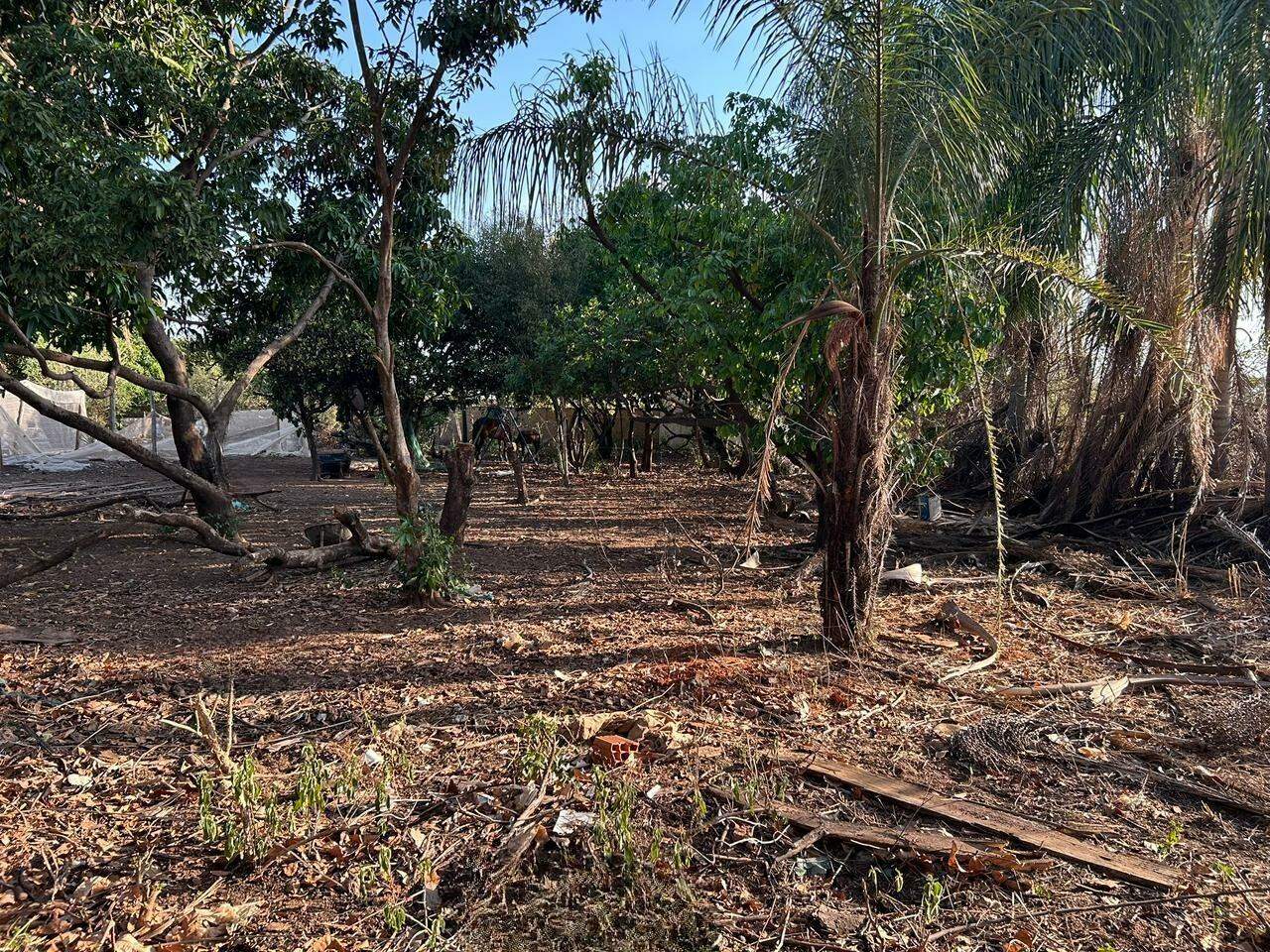 Terreno à venda no DOIS CORREGOS: 