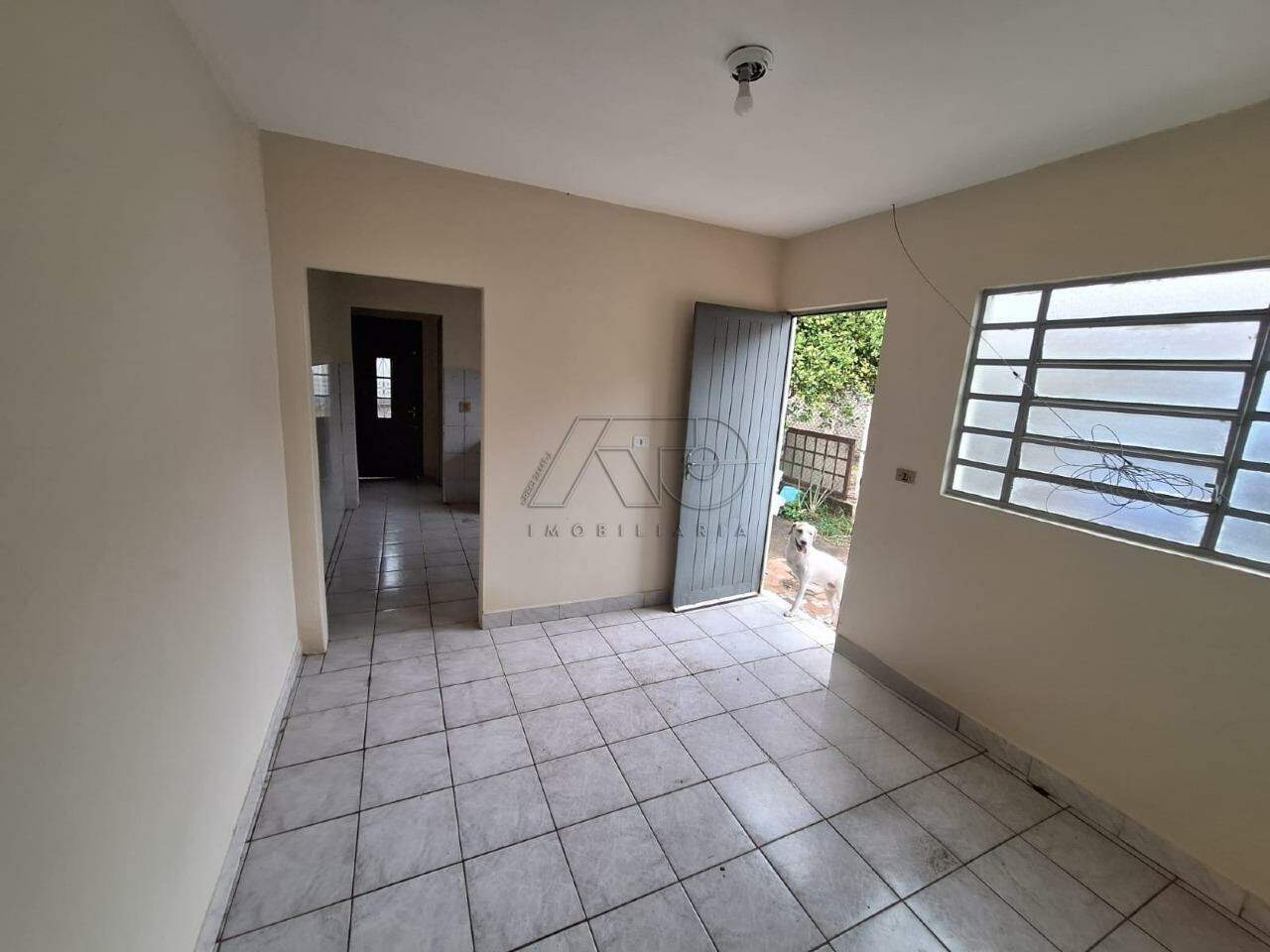 PAULICEIA, PIRACICABA