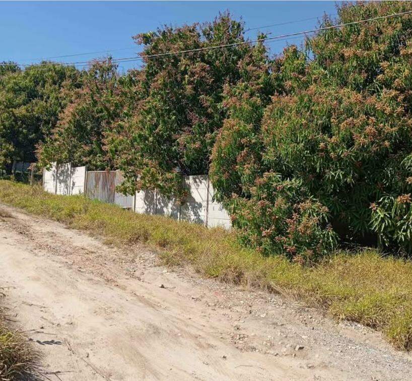 Terreno à venda no SANTA ISABEL: 