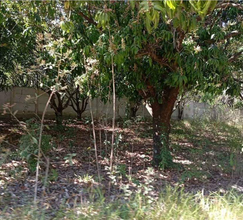 Terreno à venda no SANTA ISABEL: 