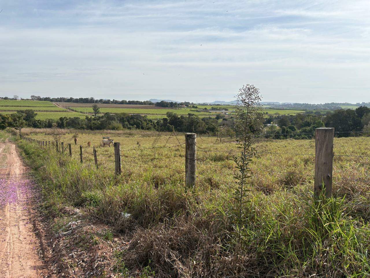 Área à venda no CAMPESTRE: 