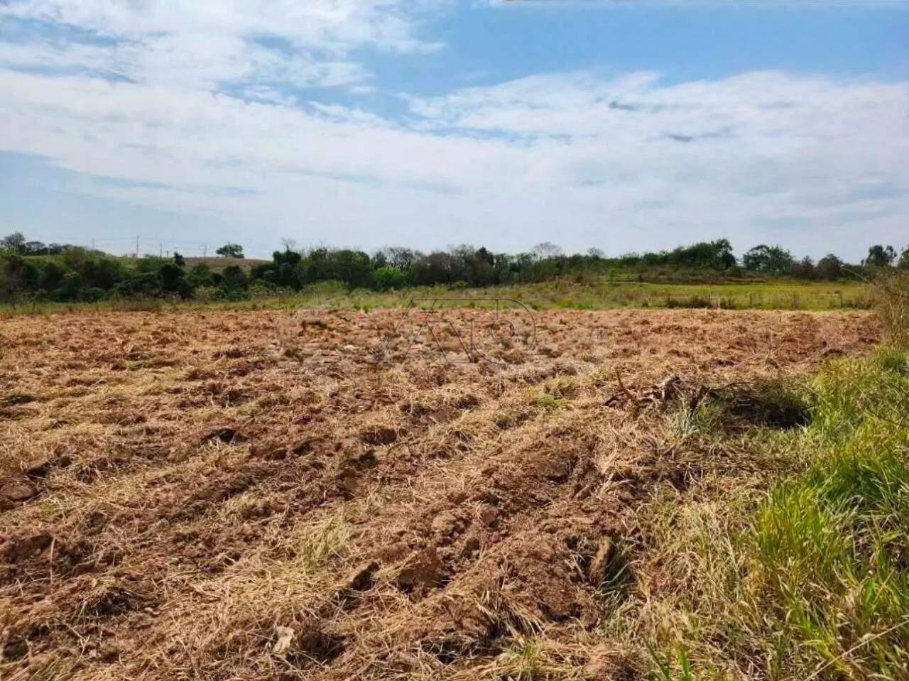 Área à venda no CAMPESTRE: 