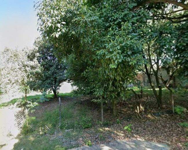 Terreno à venda no SANTA RITA: 
