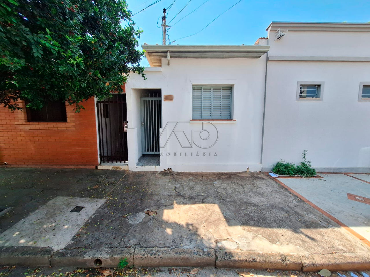 ALEMAES, PIRACICABA