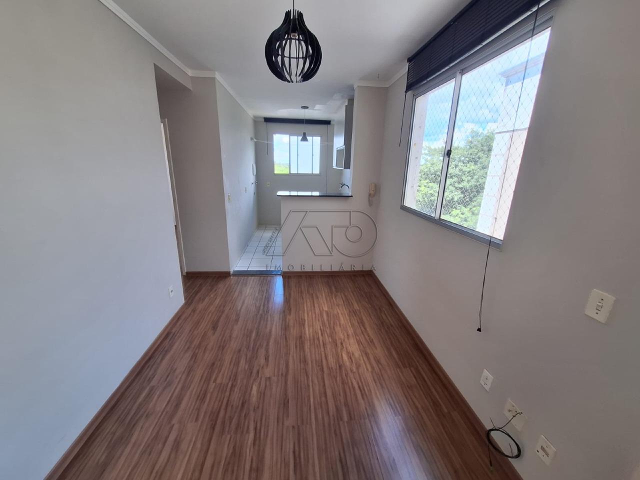 CAMPESTRE, PIRACICABA