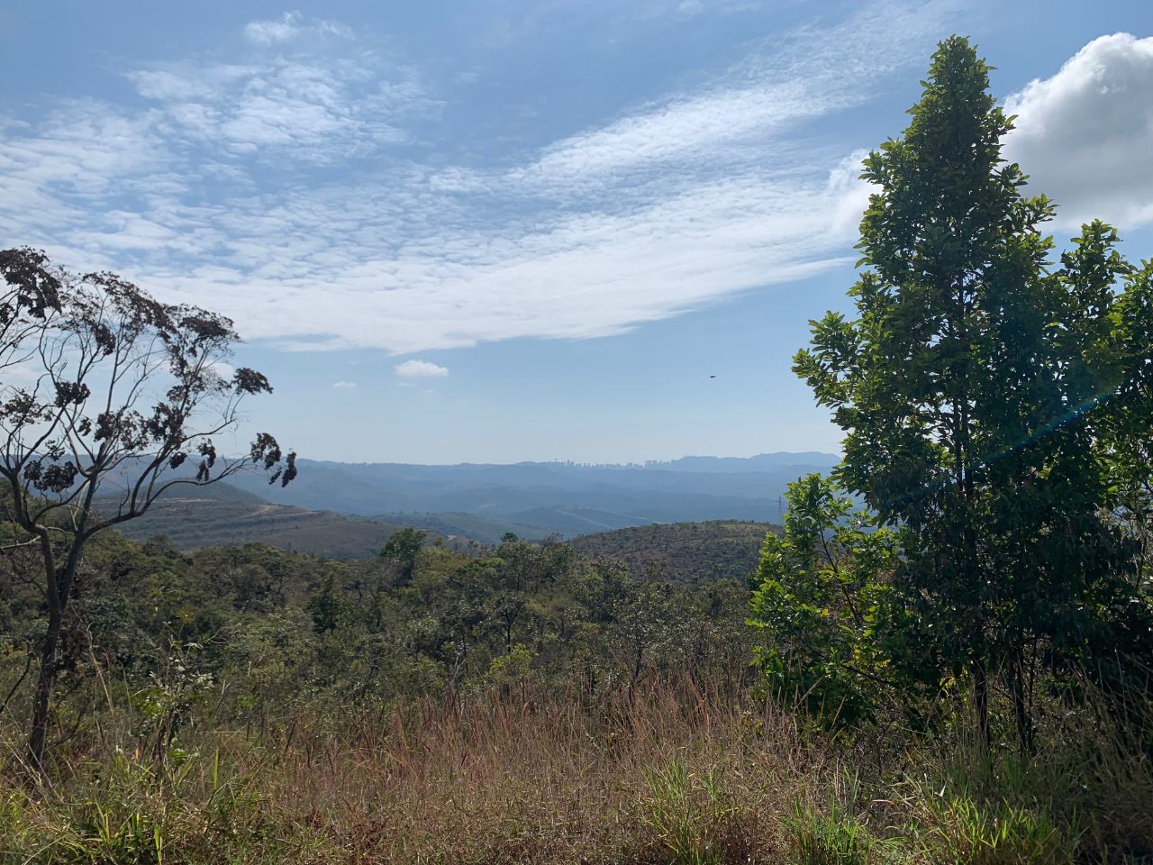 Terreno / Área à venda no Quintas Do Morro: 