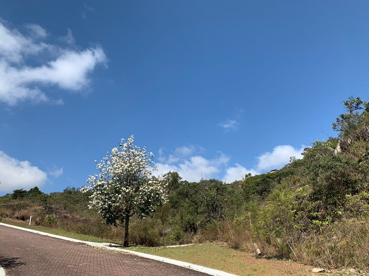 Terreno / Área à venda no Quintas Do Morro: 