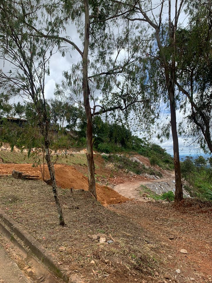 Lotes em Condomínio à venda no Morro Do Chapéu: 