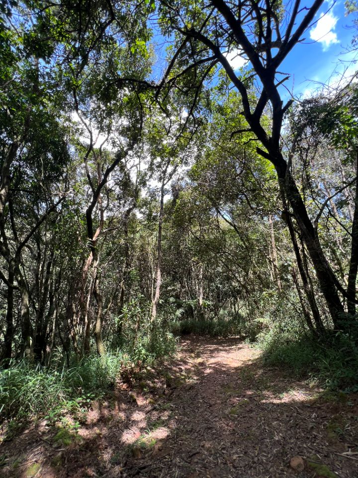 Lotes em Condomínio à venda no Aconchego Da Serra: 