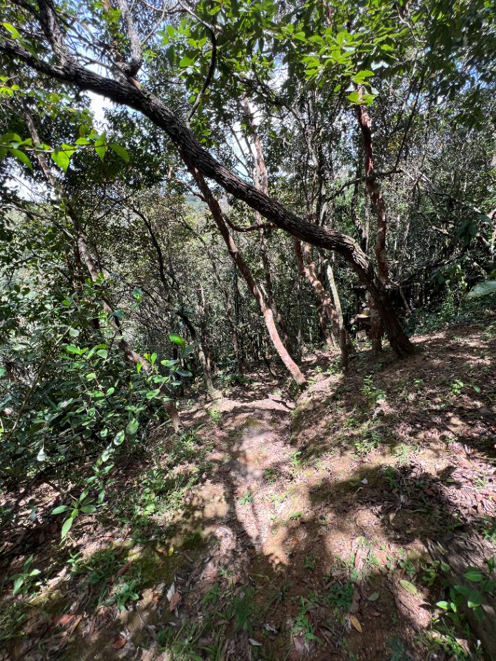 Lotes em Condomínio à venda no Aconchego Da Serra: 