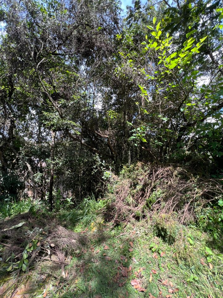 Lotes em Condomínio à venda no Aconchego Da Serra: 