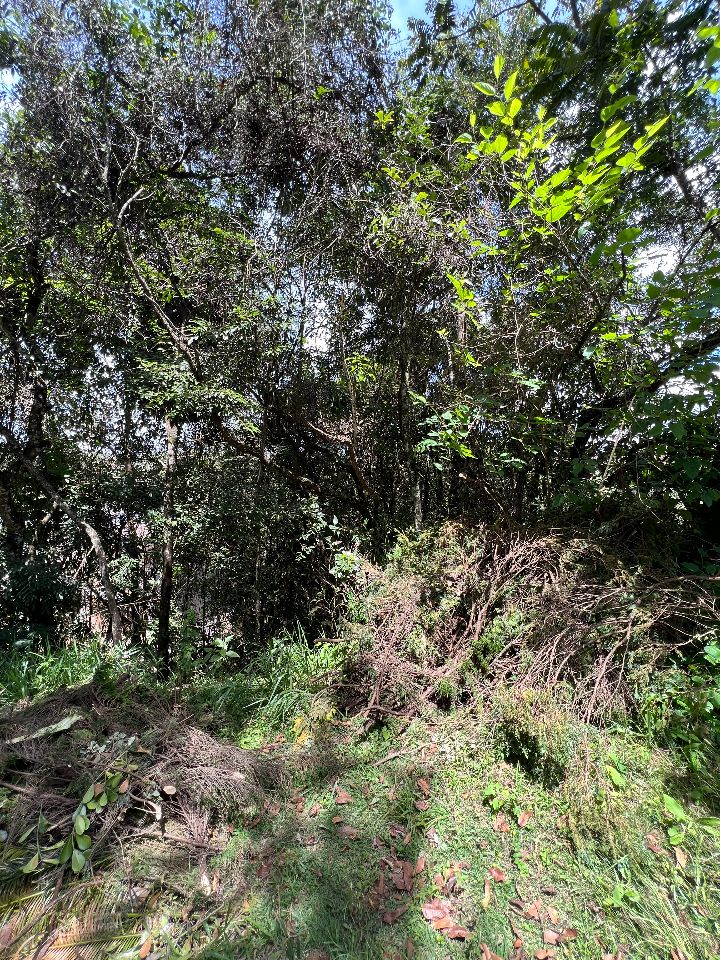 Lotes em Condomínio à venda no Aconchego Da Serra: 