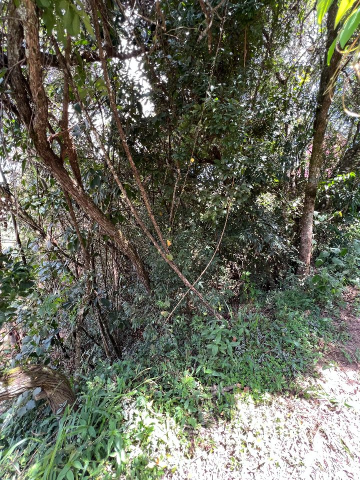 Lotes em Condomínio à venda no Aconchego Da Serra: 