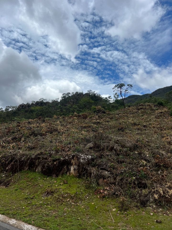 Lotes em Condomínio à venda no Quintas Do Morro: 