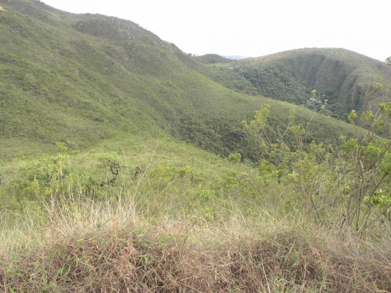 Lotes em Condomínio à venda no Quintas Do Morro: 