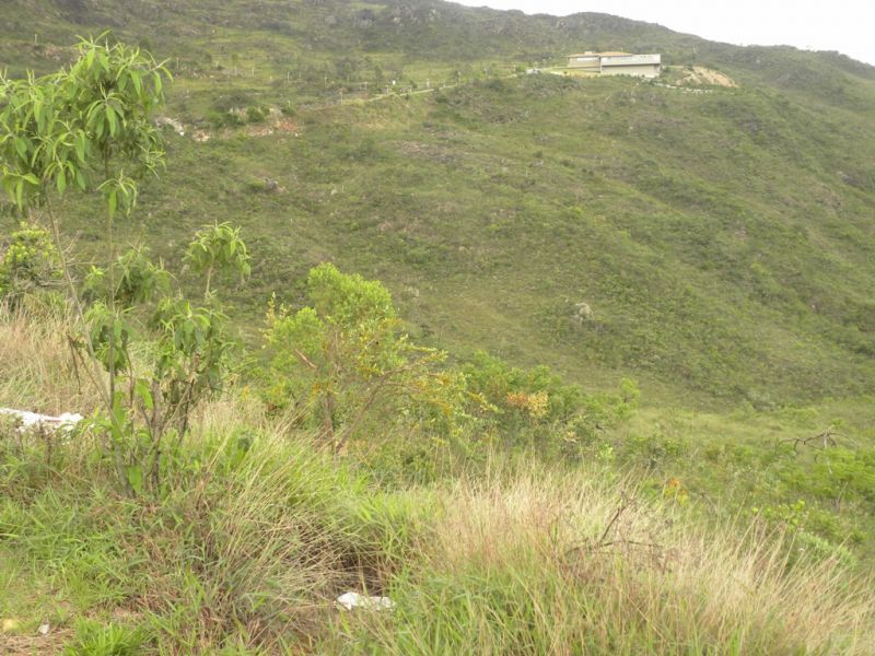 Lotes em Condomínio à venda no Quintas Do Morro: 
